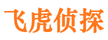 宁城市侦探公司